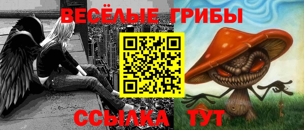 Галлюциногенные грибы MAGIC MUSHROOMS Саянск