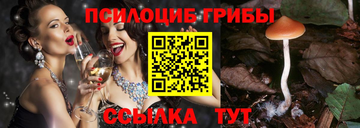 Псилоцибиновые грибы Psilocybe  Вход с VPN  купить закладку  Саянск 